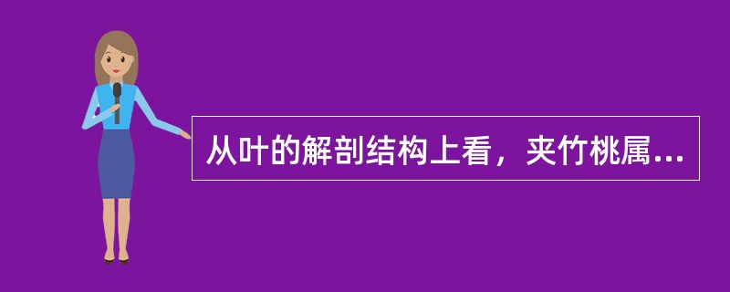 从叶的解剖结构上看，夹竹桃属于（）