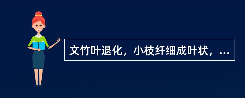 文竹叶退化，小枝纤细成叶状，水平展开。（）