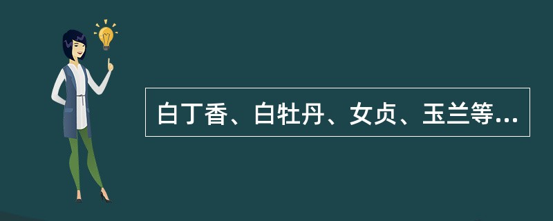 白丁香、白牡丹、女贞、玉兰等为（）花系植物。