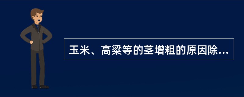 玉米、高粱等的茎增粗的原因除初生组织细胞长大外，还由于下列（）活动的结果。