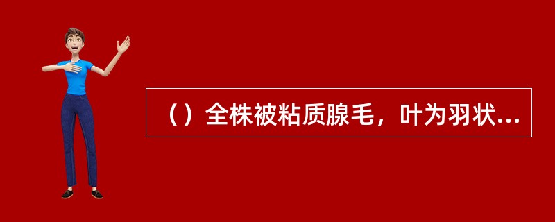 （）全株被粘质腺毛，叶为羽状复叶或羽状分裂。