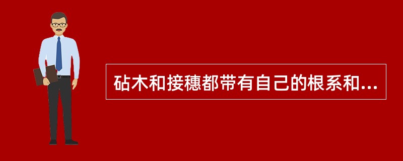 砧木和接穗都带有自己的根系和枝梢的嫁接方式是（）。