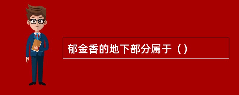 郁金香的地下部分属于（）