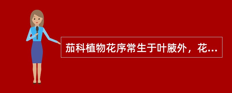 茄科植物花序常生于叶腋外，花萼宿存，子房位置偏斜。（）