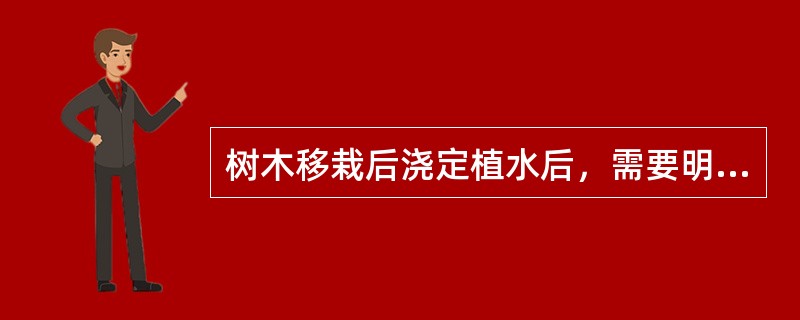 树木移栽后浇定植水后，需要明天将树体支撑，（）