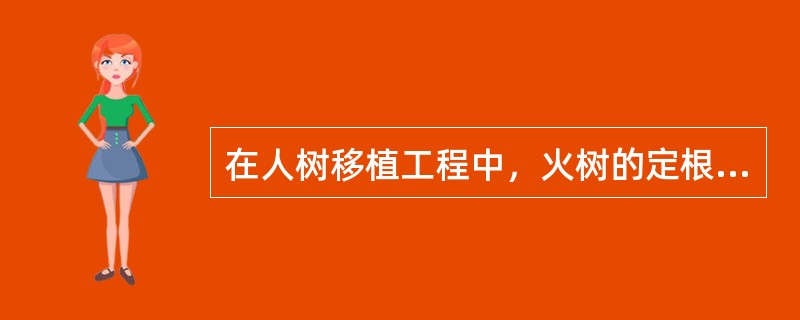 在人树移植工程中，火树的定根水应分两次浇灌。（）