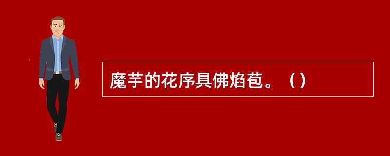 魔芋的花序具佛焰苞。（）