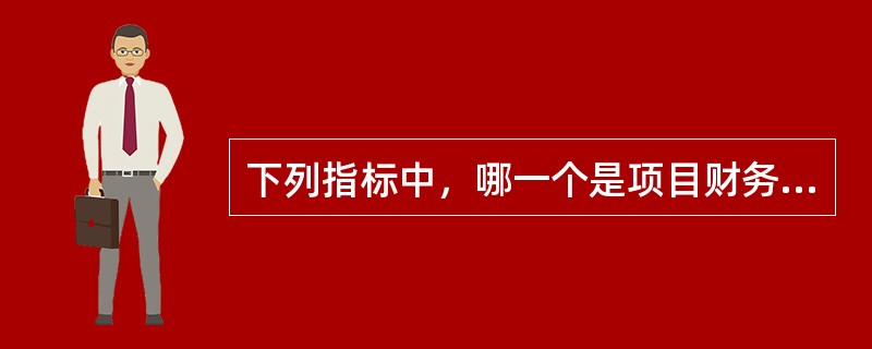 下列指标中，哪一个是项目财务评价结论中的重要指标？（）