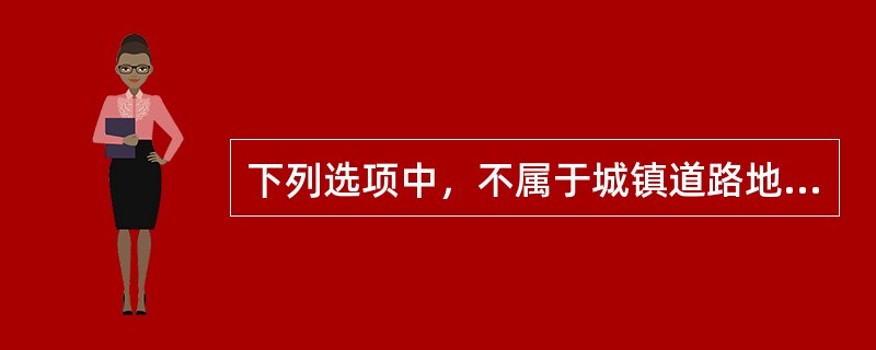 下列选项中，不属于城镇道路地下设施的是( )。