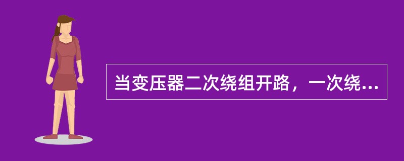 当变压器二次绕组开路，一次绕组施加额定频率的额定电压时，一次绕组中所流过的电流称( )。