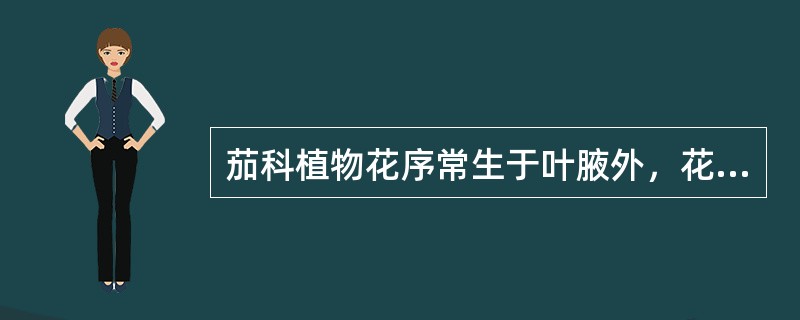 茄科植物花序常生于叶腋外，花萼宿存，子房位置偏斜。（）