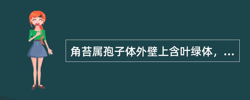 角苔属孢子体外壁上含叶绿体，表皮上有气孔，能进行光合作用制造养料，在配子体死亡后，能独立生活一个短时期，因此，孢子体半寄生在配子体上。（）