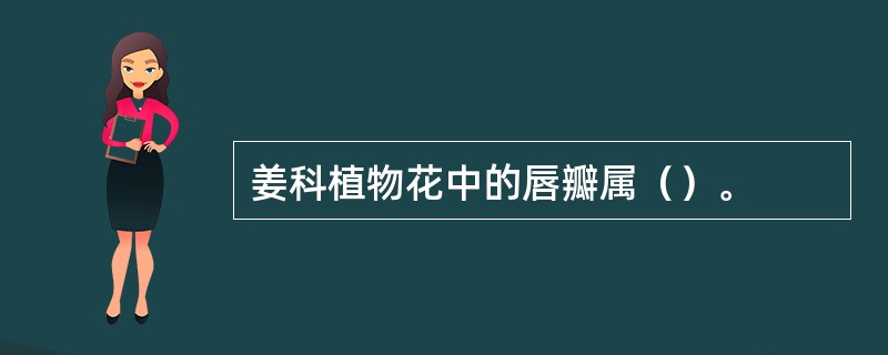 姜科植物花中的唇瓣属（）。