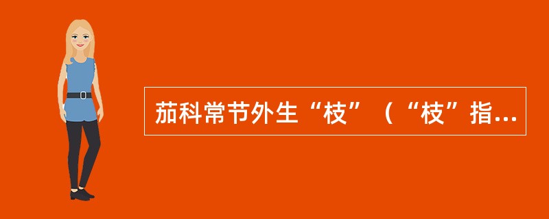 茄科常节外生“枝”（“枝”指花序）。（）