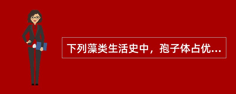 下列藻类生活史中，孢子体占优势的异形世代交替是（）。