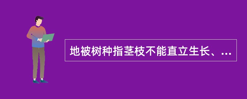 地被树种指茎枝不能直立生长、主要沿地面水平延伸的树木。（）