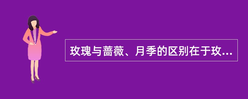 玫瑰与蔷薇、月季的区别在于玫瑰茎上具皮刺。（）