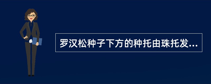 罗汉松种子下方的种托由珠托发育而来。（）