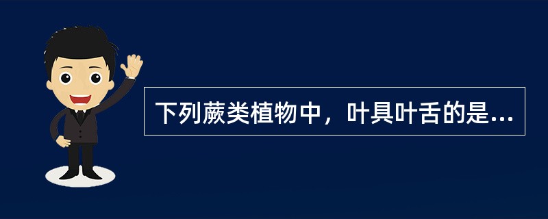 下列蕨类植物中，叶具叶舌的是（）。