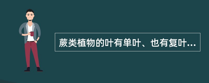 蕨类植物的叶有单叶、也有复叶。（）