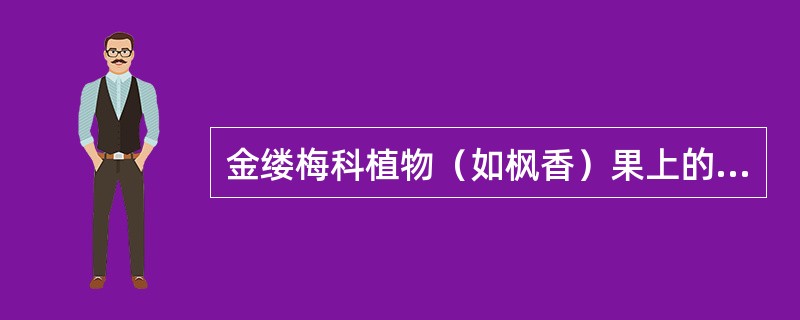 金缕梅科植物（如枫香）果上的2尖喙由（）发育而来。