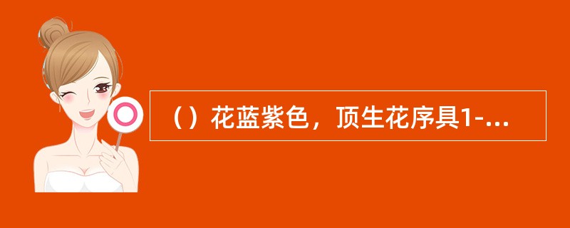 （）花蓝紫色，顶生花序具1-4朵花。