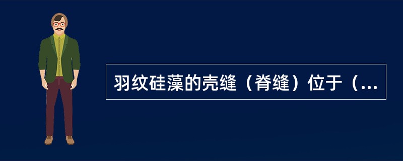 羽纹硅藻的壳缝（脊缝）位于（）。