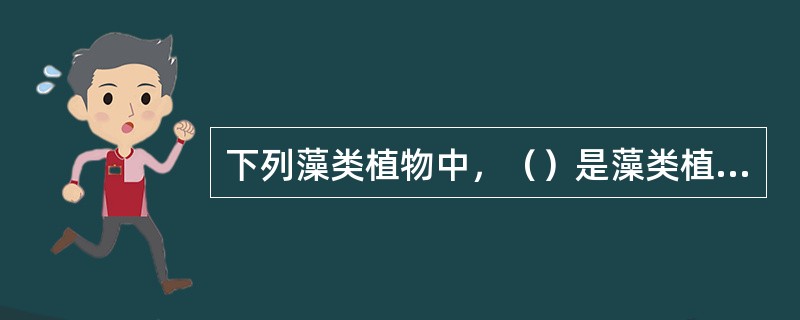 下列藻类植物中，（）是藻类植物中最大的1门。