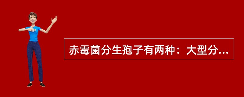 赤霉菌分生孢子有两种：大型分生孢子新月形，小型分生孢子卵形。（）