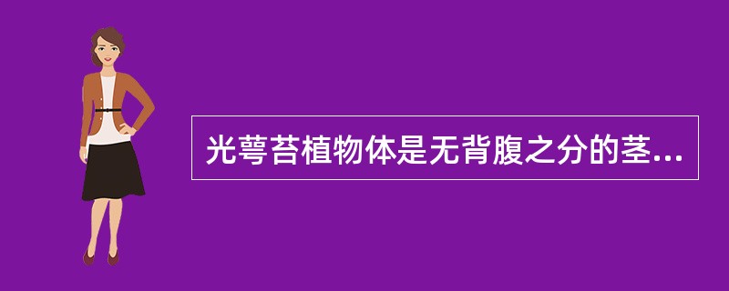 光萼苔植物体是无背腹之分的茎叶体。（）