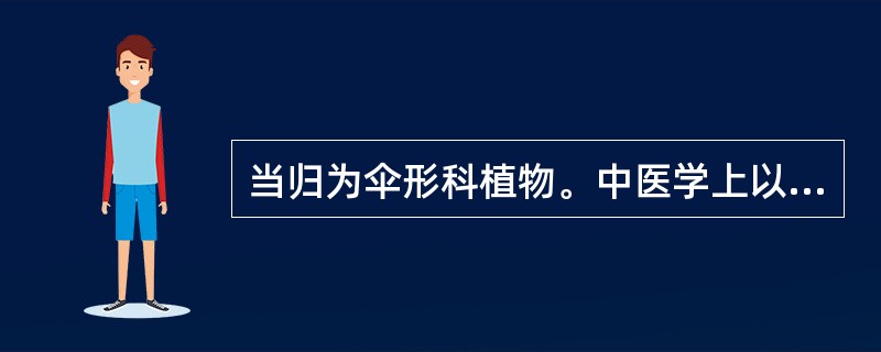 当归为伞形科植物。中医学上以（）入药，具补血活血、调经止痛之功效，为妇科要药。