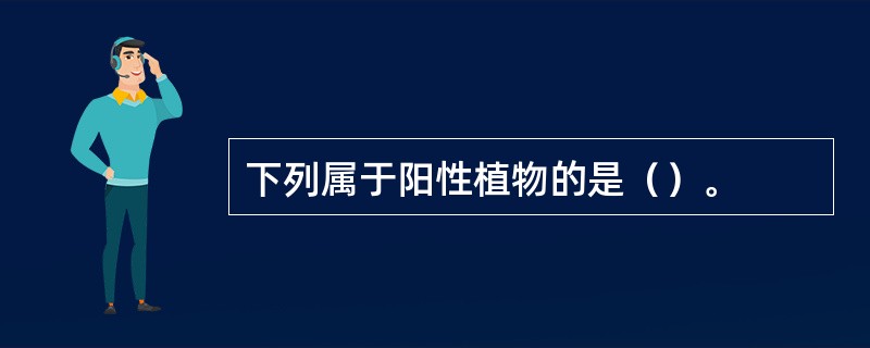 下列属于阳性植物的是（）。