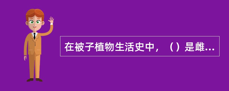 在被子植物生活史中，（）是雌配子体的第一个细胞。