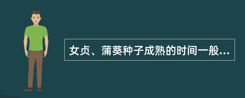 女贞、蒲葵种子成熟的时间一般在（）。