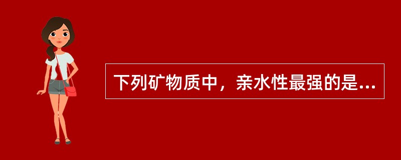 下列矿物质中，亲水性最强的是（）。