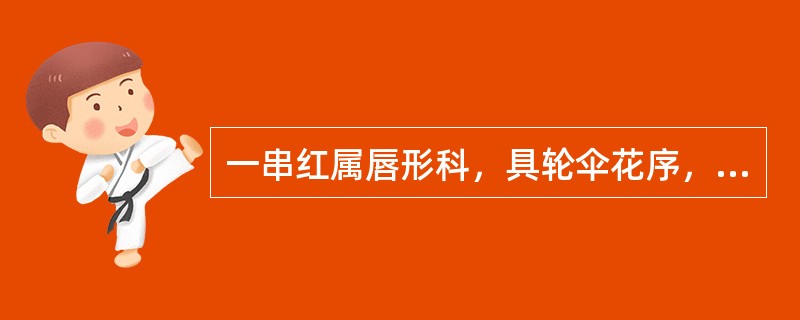 一串红属唇形科，具轮伞花序，二强雄蕊。（）