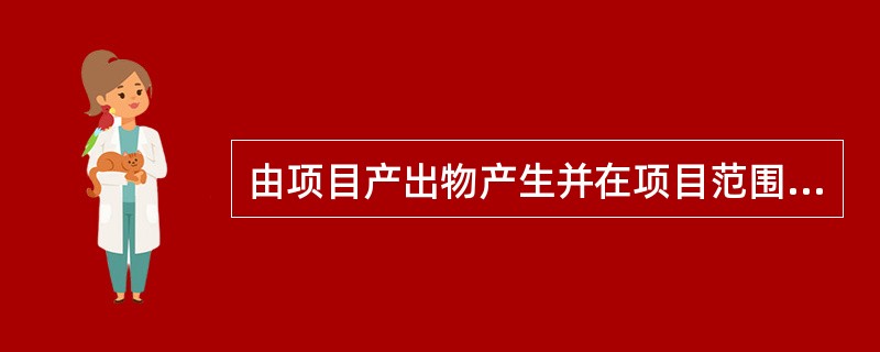 由项目产出物产生并在项目范围内计算的经济效益是项目的（）。