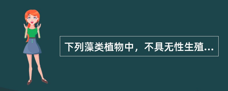 下列藻类植物中，不具无性生殖的是（）。