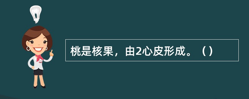 桃是核果，由2心皮形成。（）