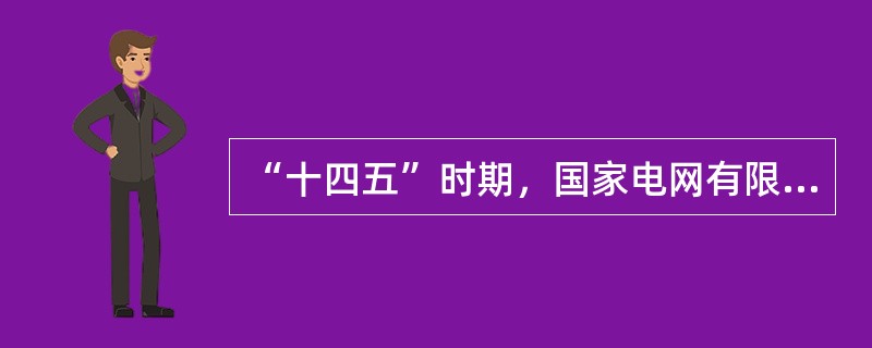 “十四五”时期，国家电网有限公司积极稳妥发展金融业务，打造行业特色金融品牌。以下不属于积极稳妥发展金融业务举措的是( )。