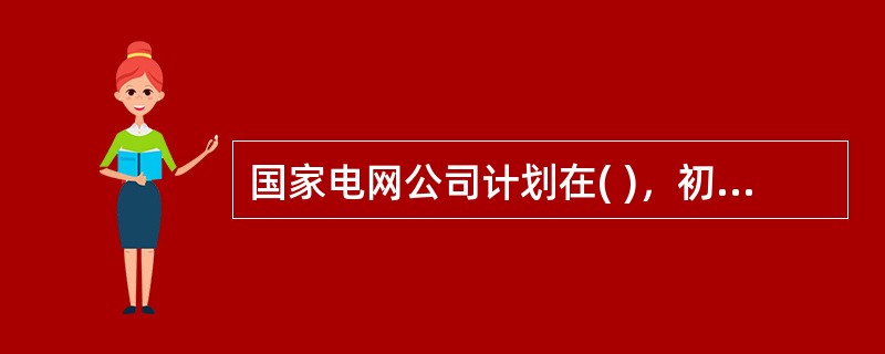 国家电网公司计划在( )，初步实现“两个一流”。