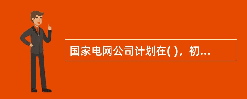 国家电网公司计划在( )，初步实现“两个一流”。