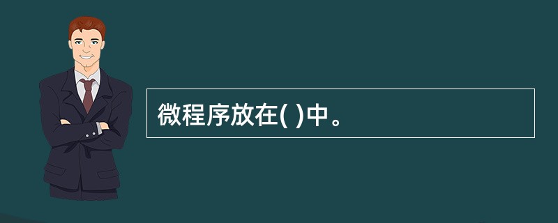 微程序放在( )中。