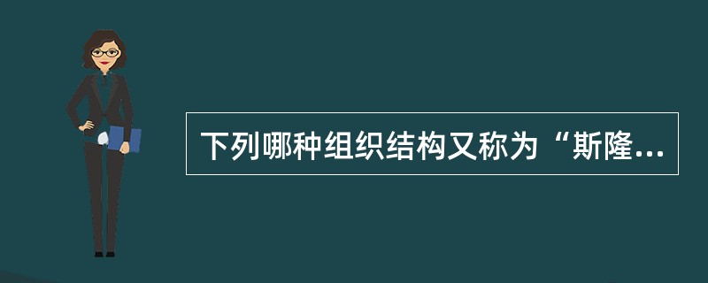 下列哪种组织结构又称为“斯隆模型”？（）