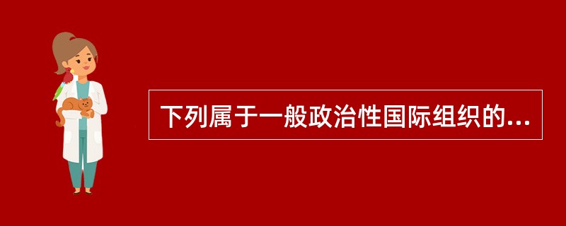 下列属于一般政治性国际组织的是（）