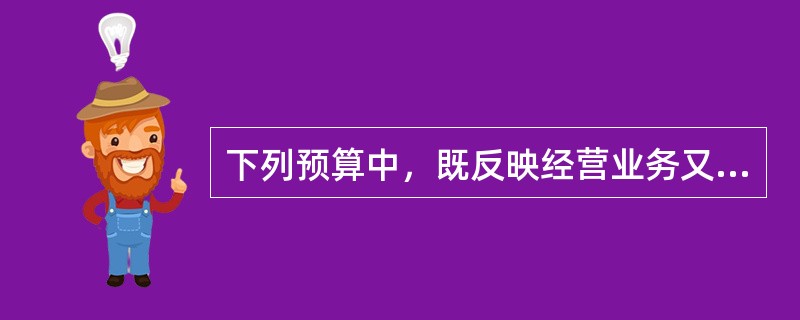 下列预算中，既反映经营业务又反映现金收支内容的有()。