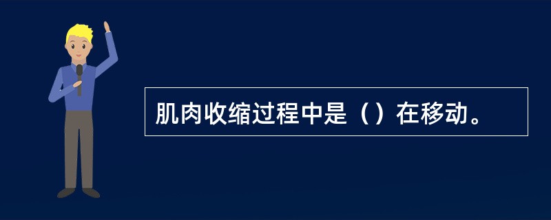 肌肉收缩过程中是（）在移动。