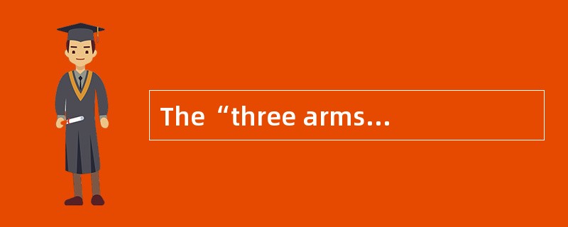 The“three arms of government” of Australia refers to the Parliament，the Executive Government and( )