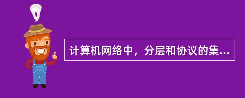 计算机网络中，分层和协议的集合称为计算机网络的（）