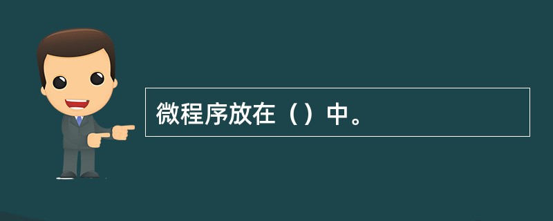 微程序放在（）中。